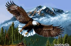 طرح و نقشه عقاب-یگانه فراز