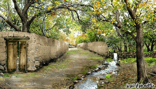 نخ و نقشه کامپیوتری طرح کوچه باغ-یگانه فراز
