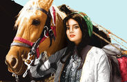 نقشه تابلو فرش عشایر-یگانه فراز