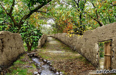 طرح و نقشه کوچه باغ-یگانه فراز