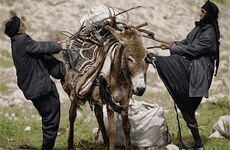 طرح و نقشه کوچ پاییزه عشایر-یگانه فراز