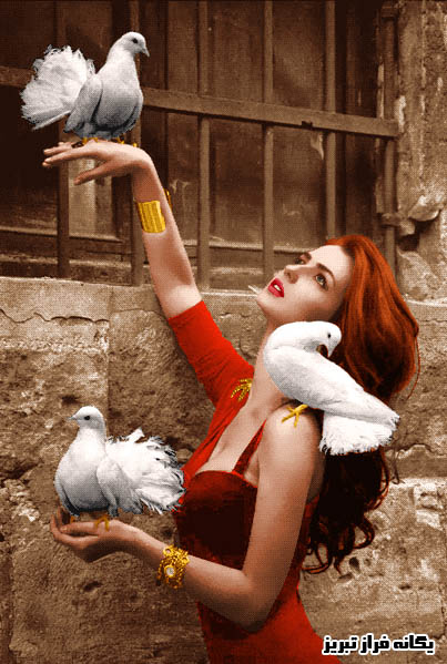 نخ و نقشه تابلو فرش تبریز-طرح دختر کفترباز