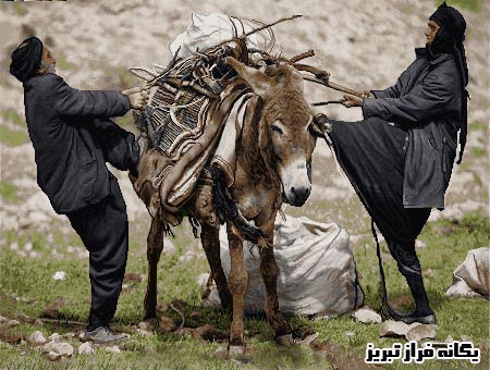 طرح و نقشه کوچ پاییزه عشایر-یگانه فراز